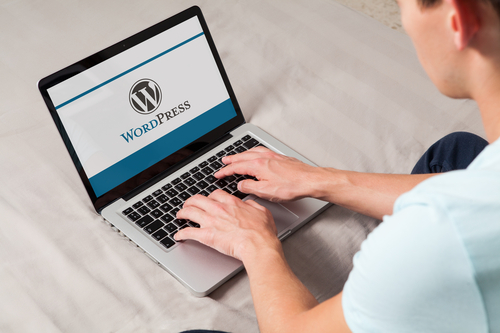 Wordpress Schulung Online